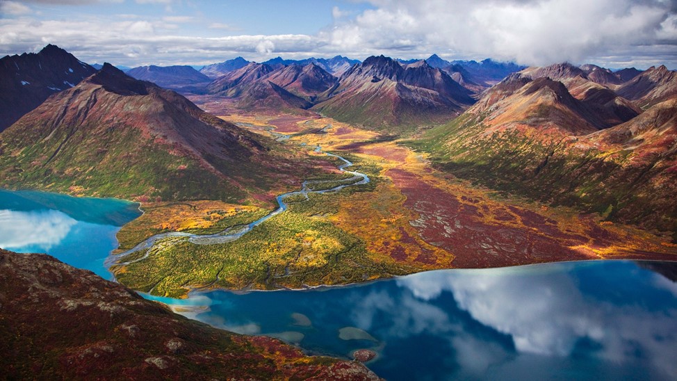 Alaskan ecosystem